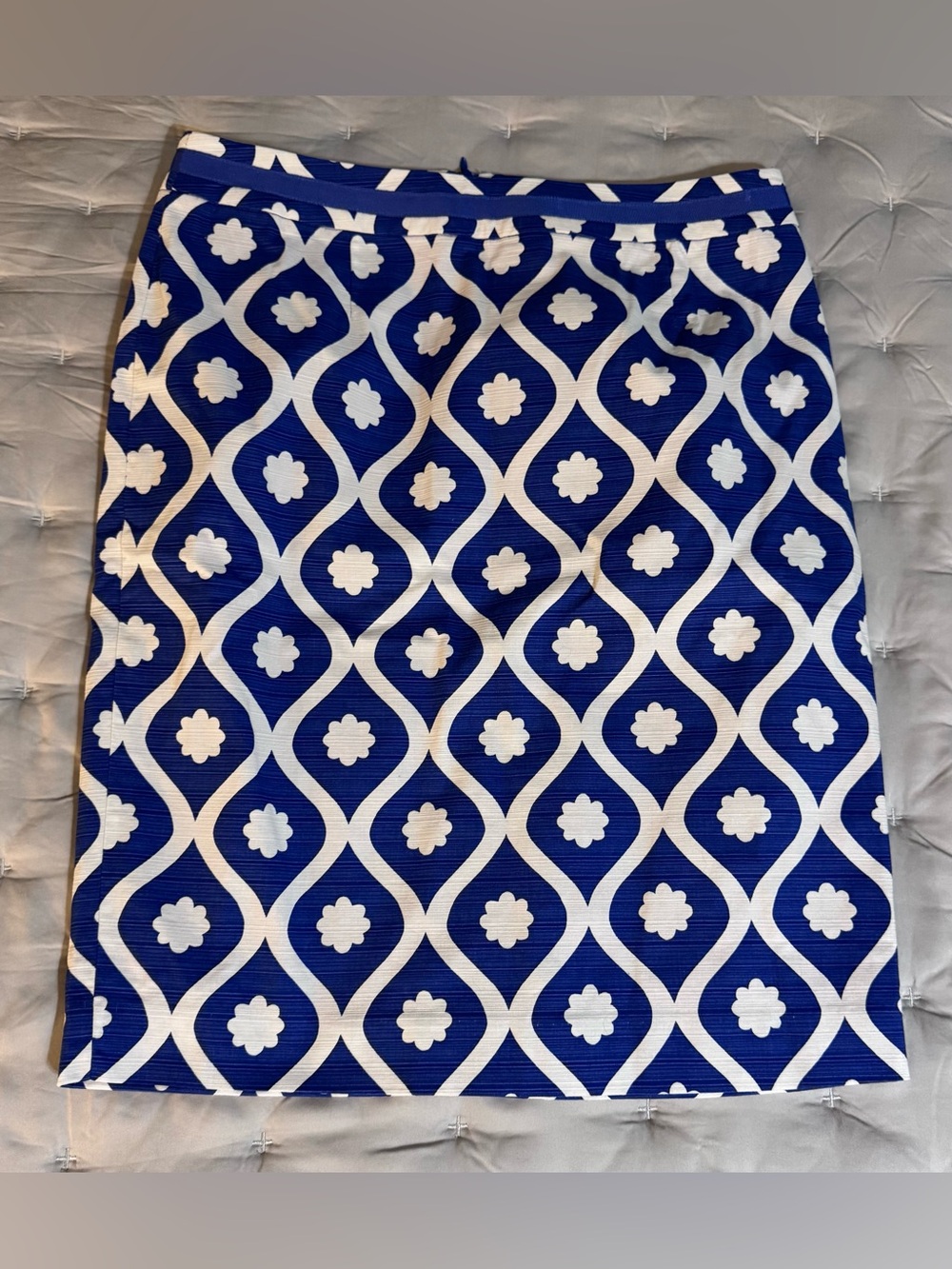 NWOT Boden Pencil Skirt (6P)